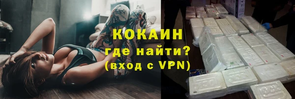 молекула духа Богородицк