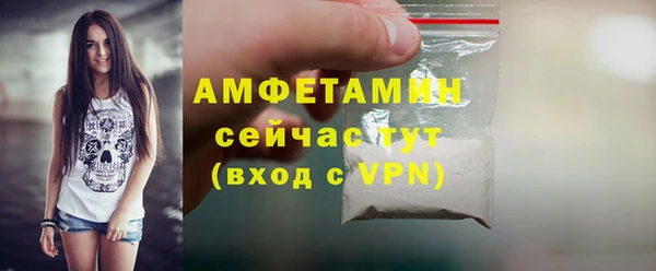 молекула духа Богородицк