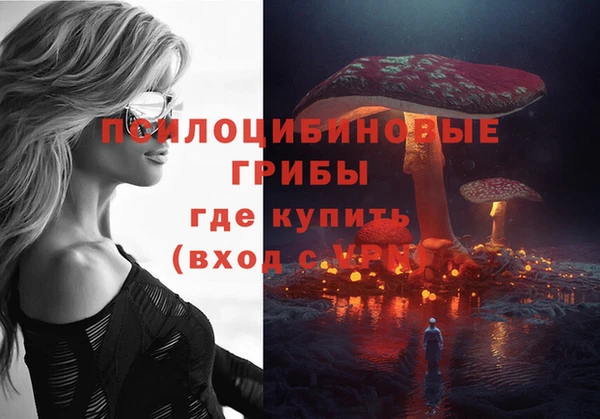 сатива Богородск