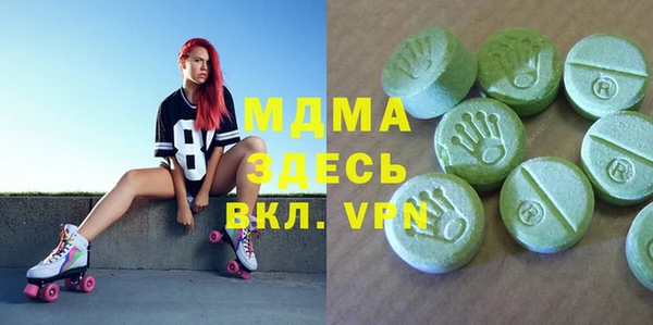 молекула духа Богородицк