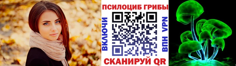 мега ССЫЛКА  купить закладку  Бутурлиновка  Псилоцибиновые грибы GOLDEN TEACHER 